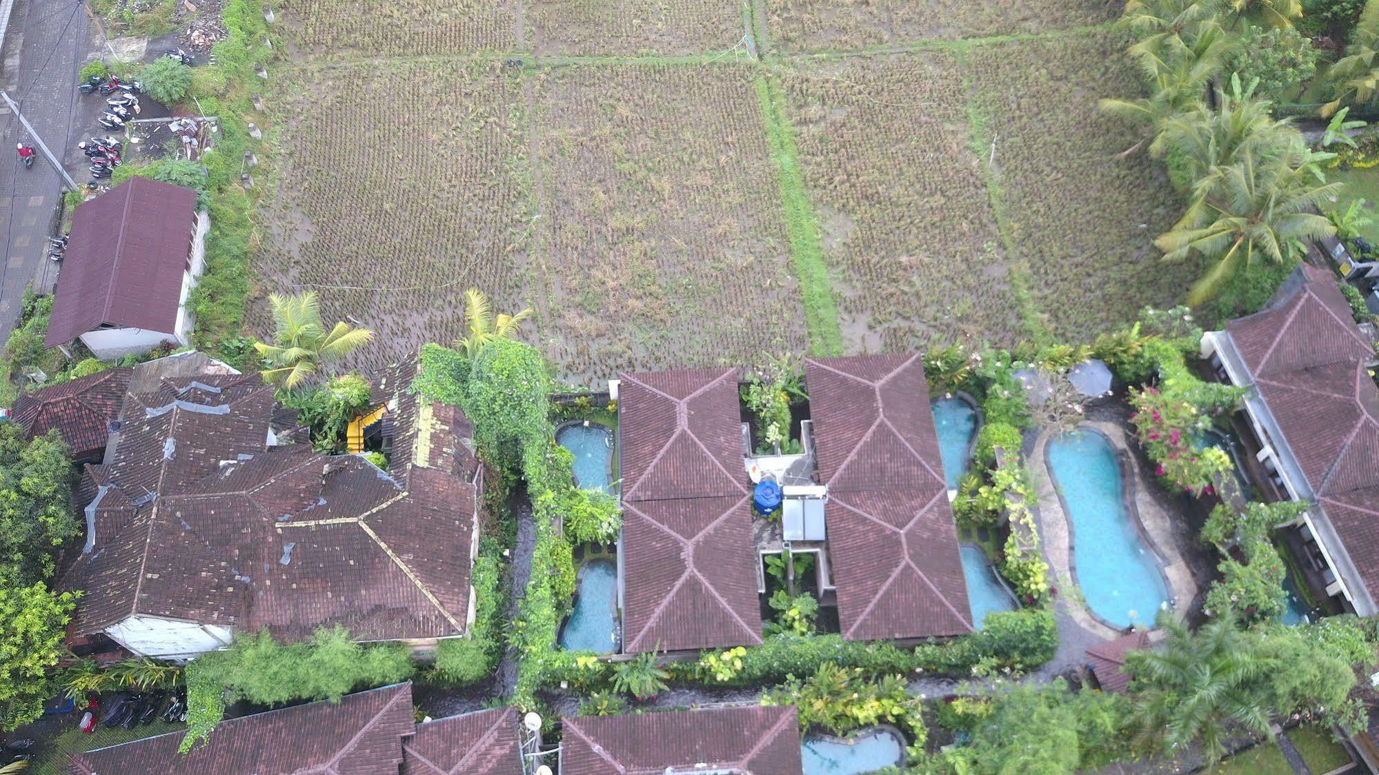Ladera Villa Ubud Bagian luar foto